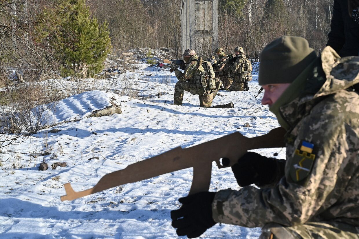 Военные учения под Киевом, Украина