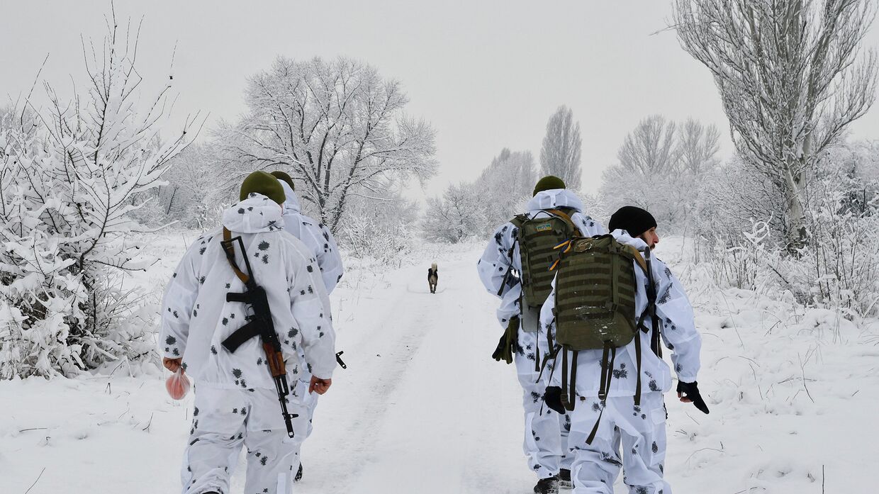 Украинские военнослужащие у села Верхнеторецкое в Донецкой области