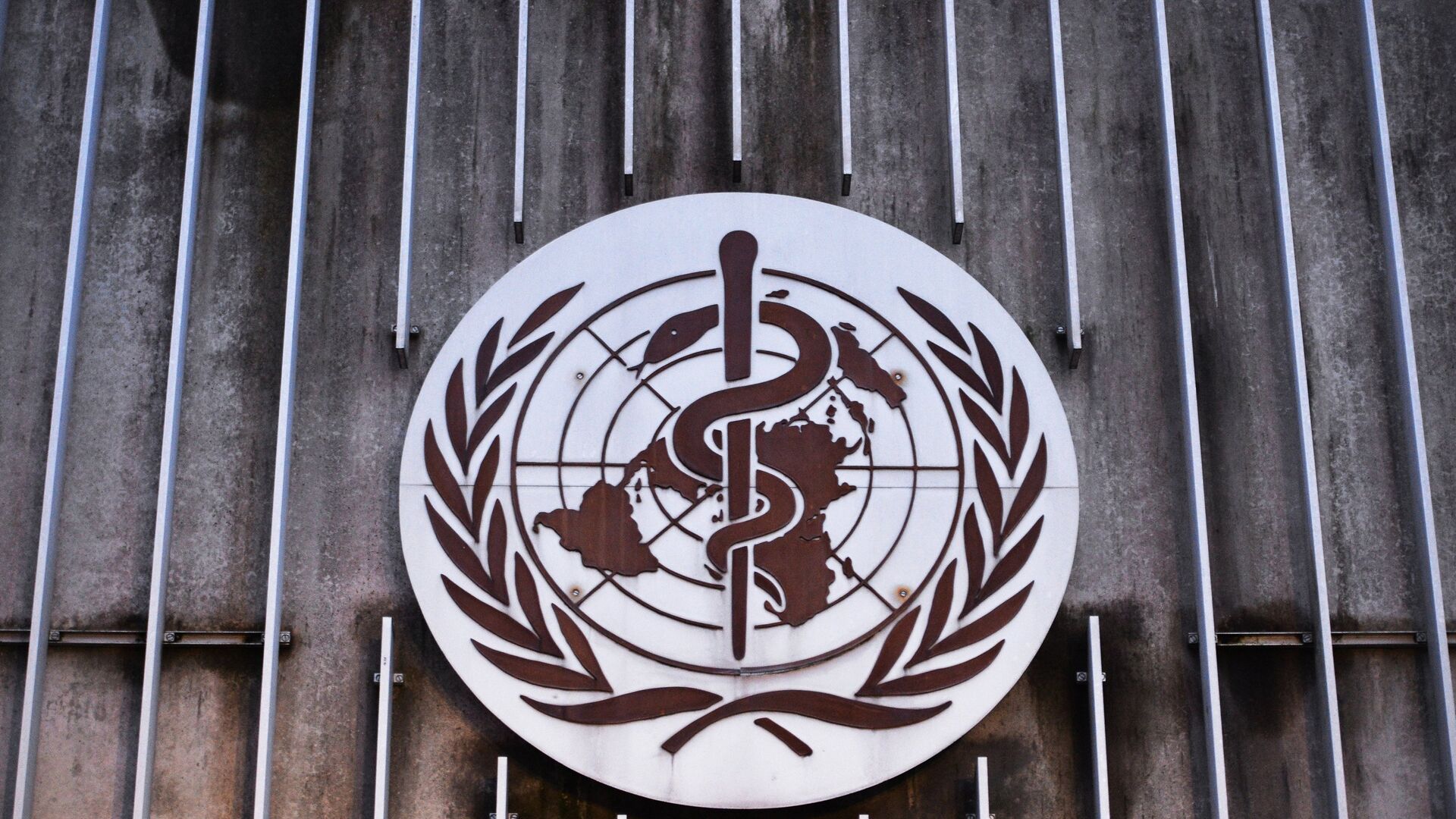 Эмблема Всемирной организации здравоохранения (ВОЗ) - ИноСМИ, 1920, 16.05.2023