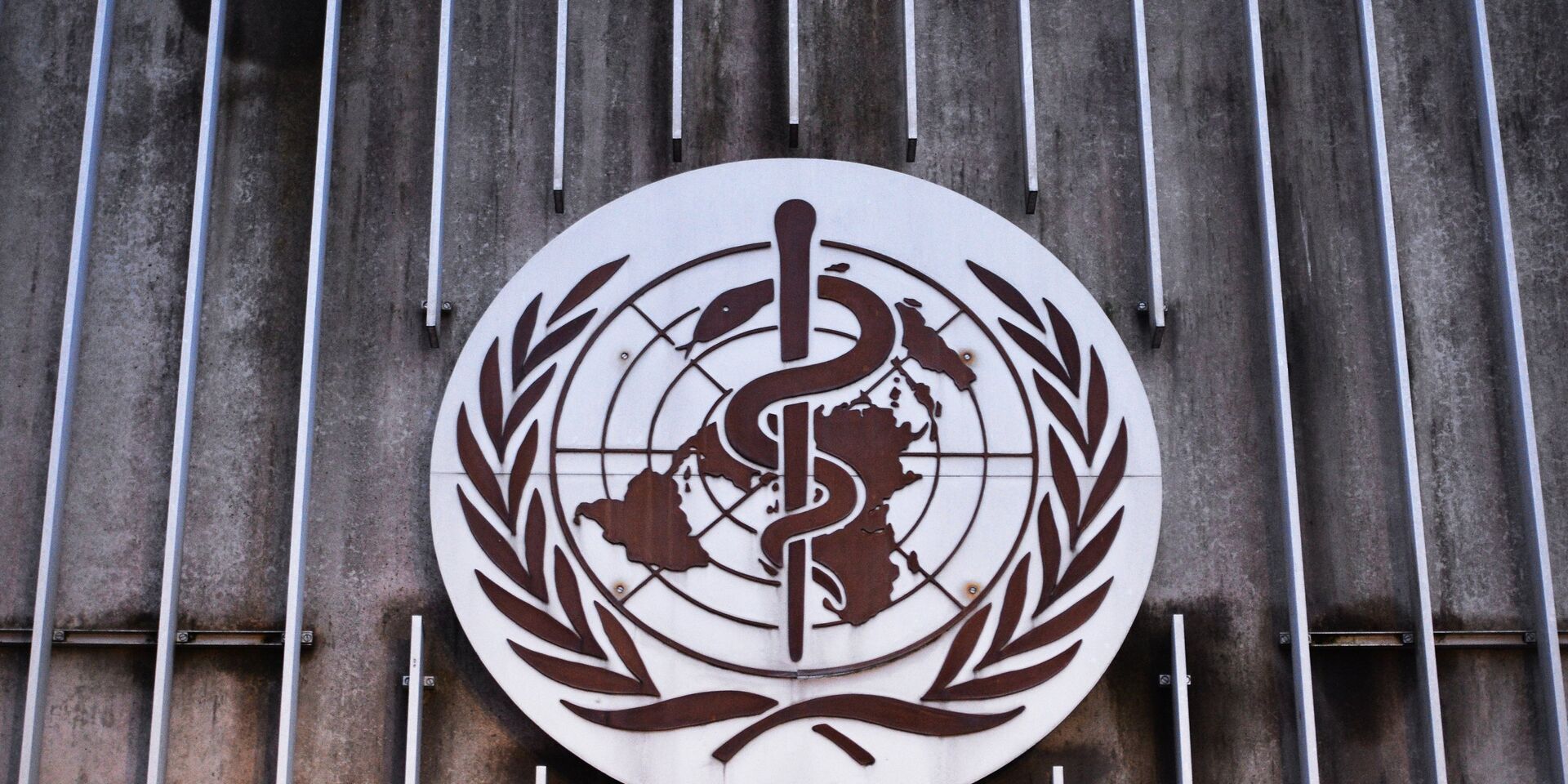 Эмблема Всемирной организации здравоохранения (ВОЗ) - ИноСМИ, 1920, 20.05.2022